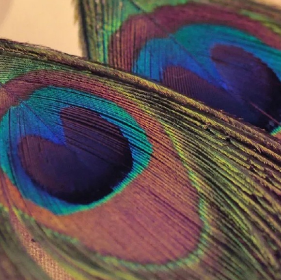 NEW BOHO Style Peacock Feather Dangle Earrings - Picture 3 of 4